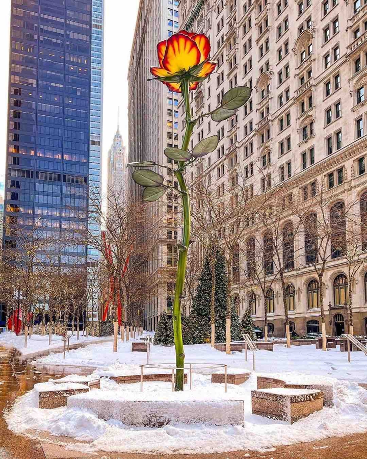 Lower Manhattan ?