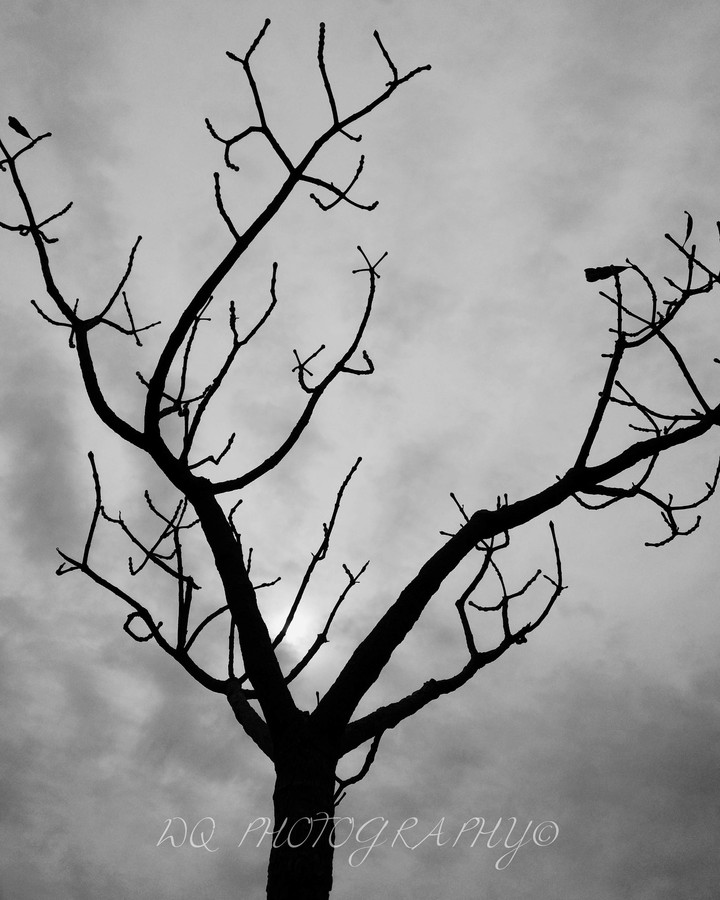 loneliness