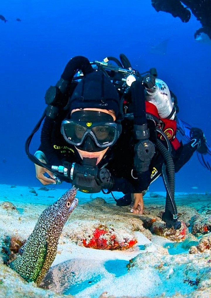 Down Under with the EEL