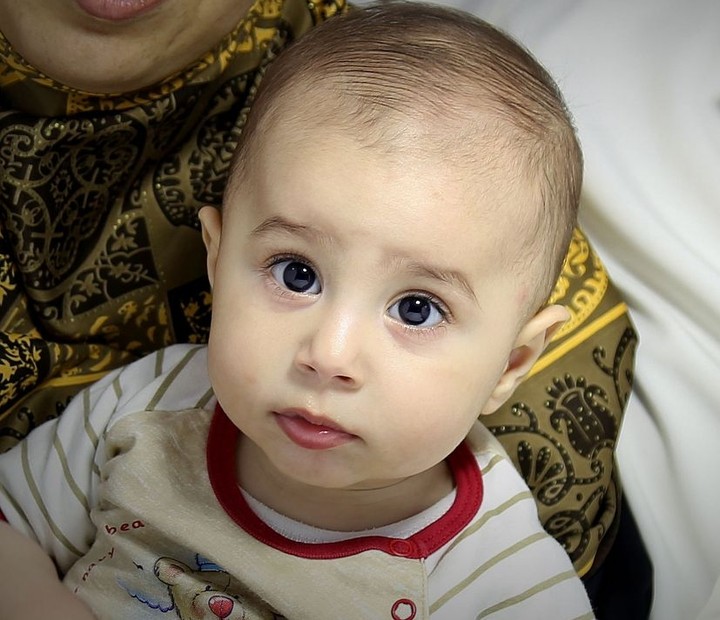 آقا سید محمد
