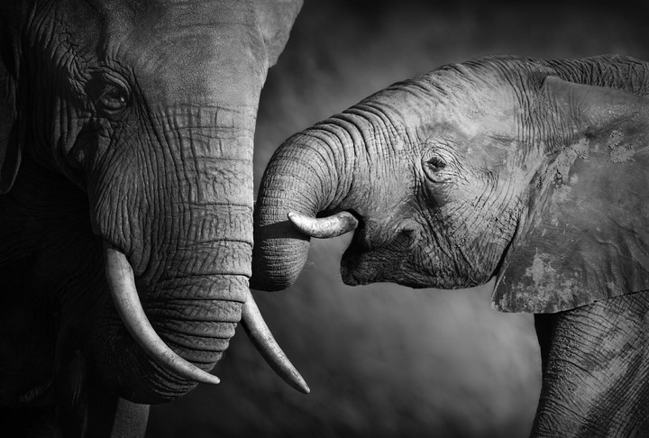 mother care ❤❤