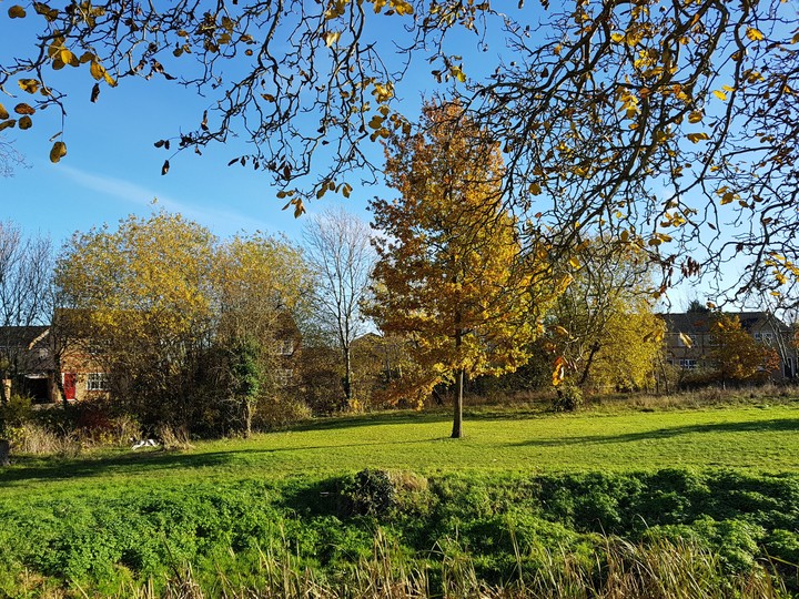 local moat