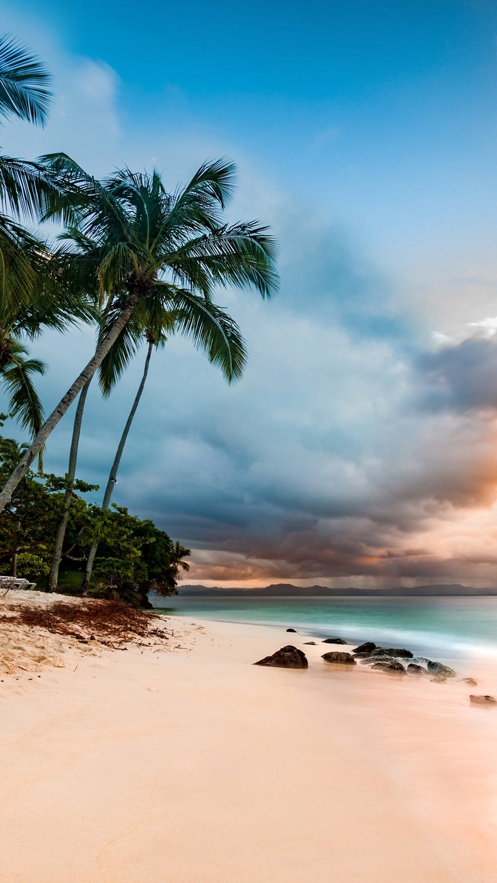 tropical