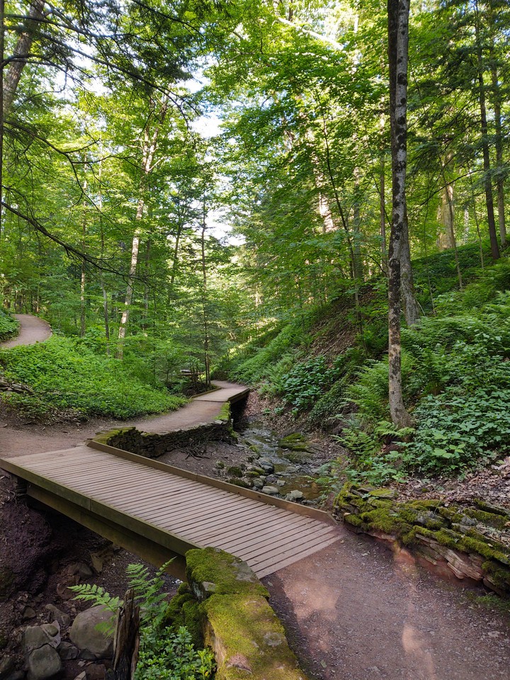paths