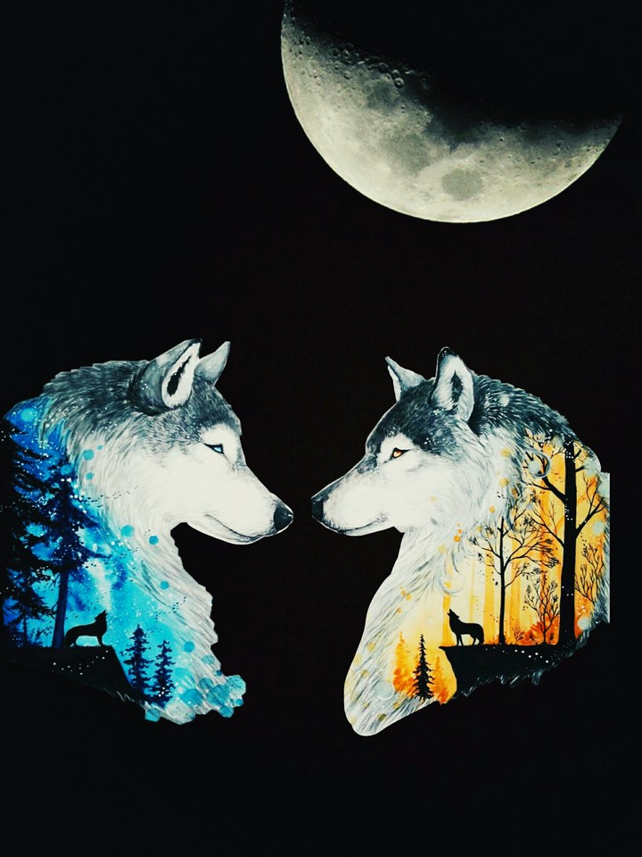 Wolf