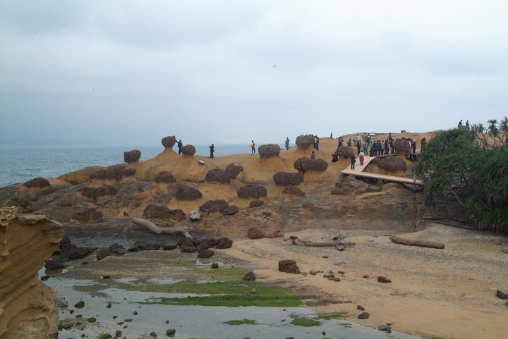 Scenics