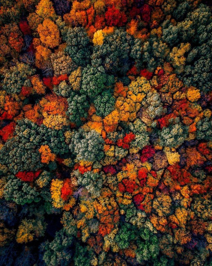 nature