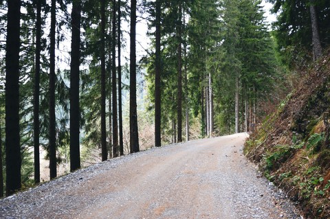 Lovin the nature in Friuli