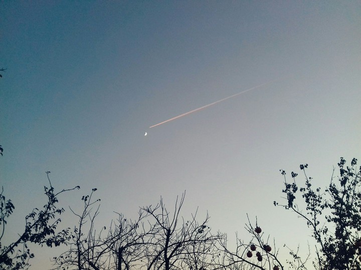 moon