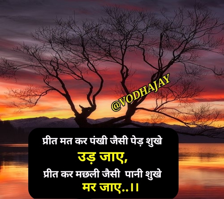 shayari