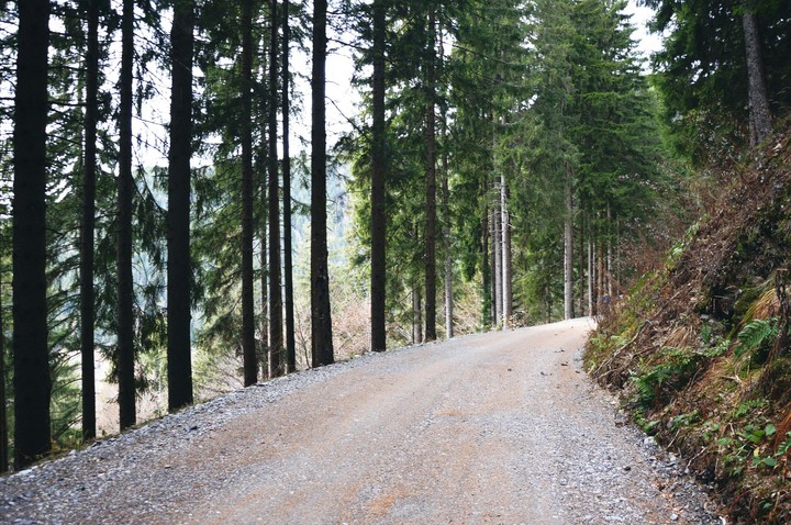 Lovin the nature in Friuli