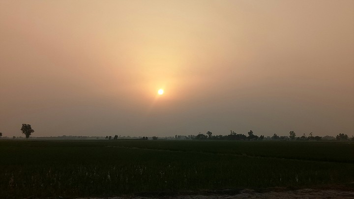 sajid