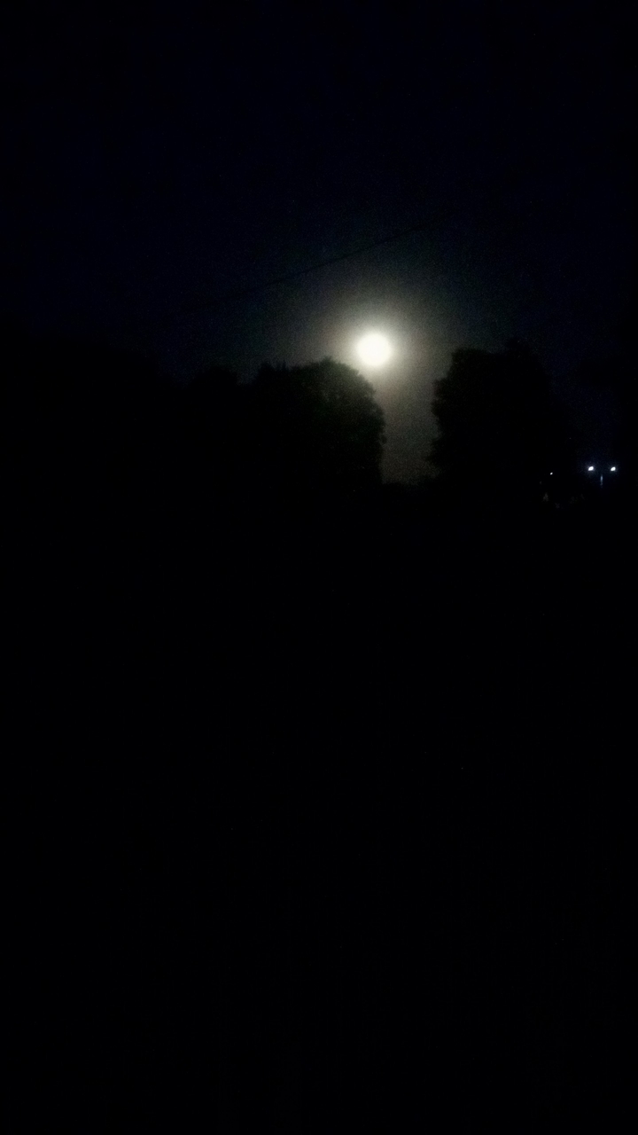 the moonlight