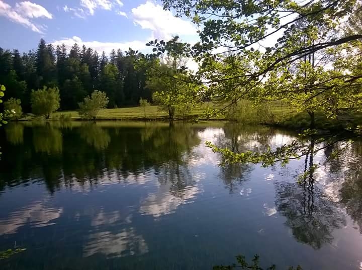 Sunny day