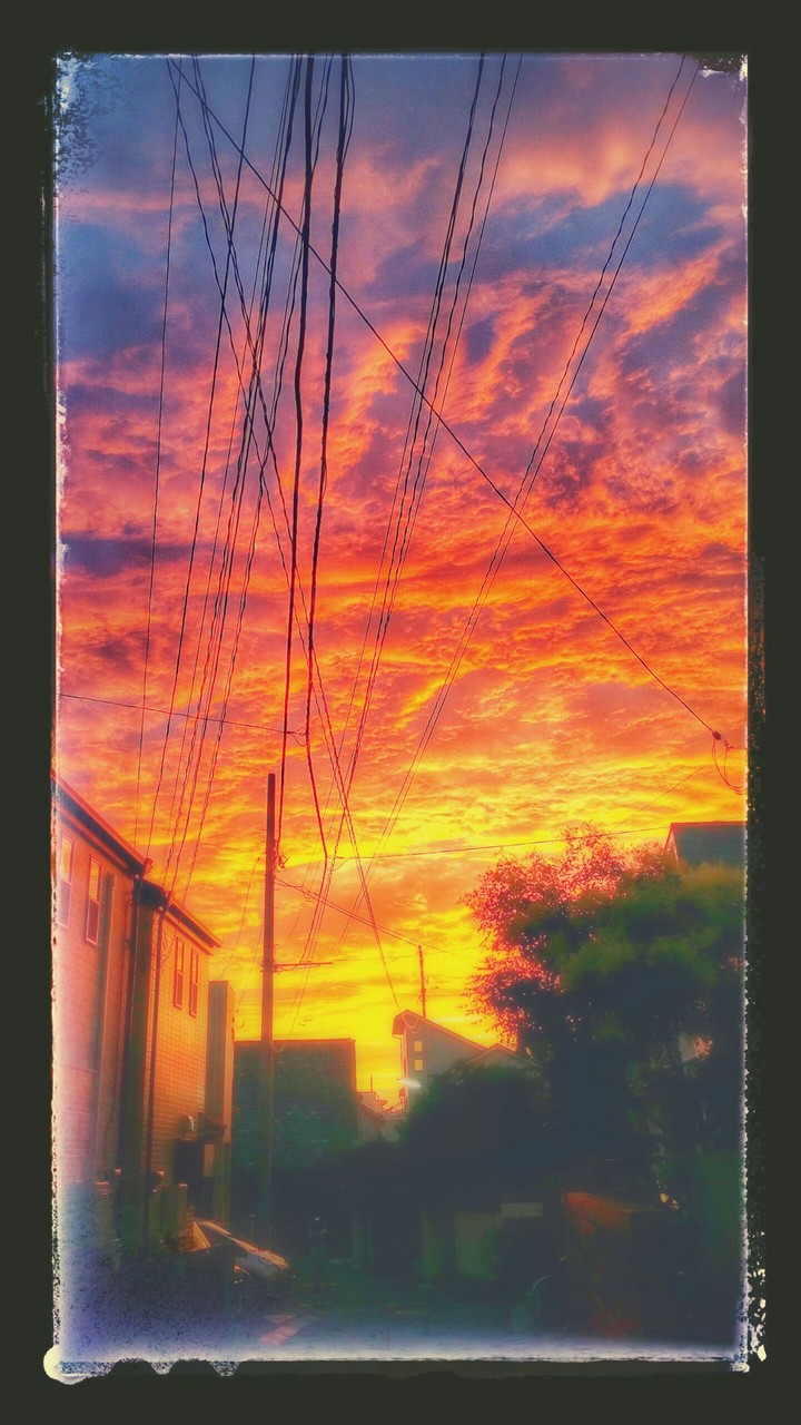 beautiful