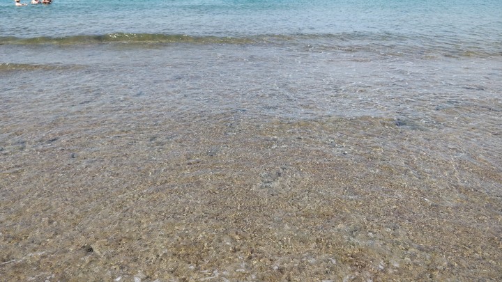 Mare
