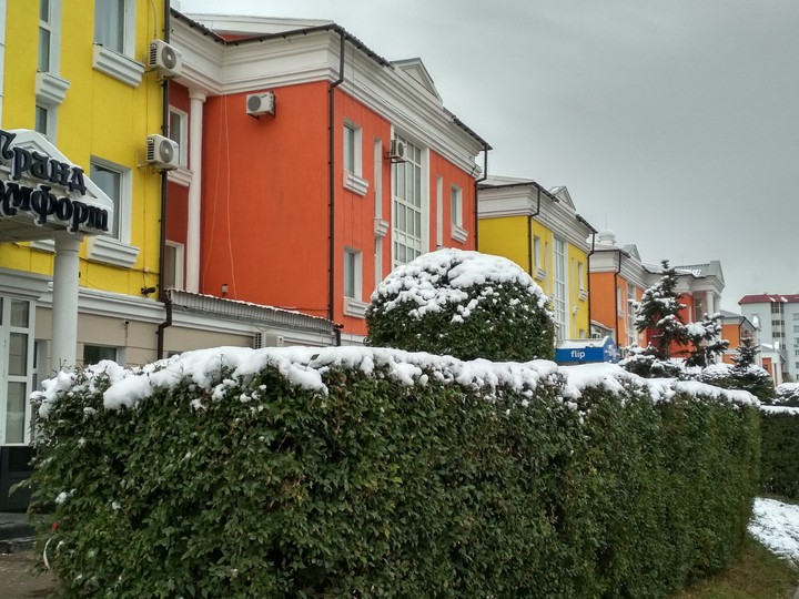 winter