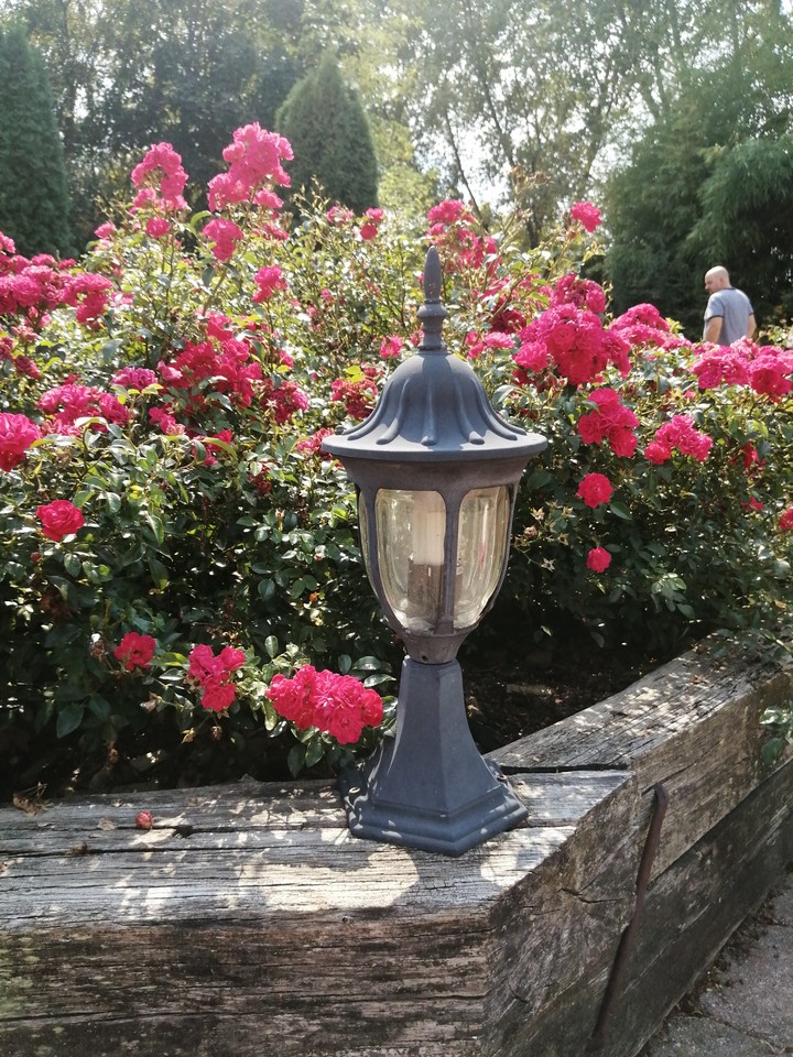 Roses...