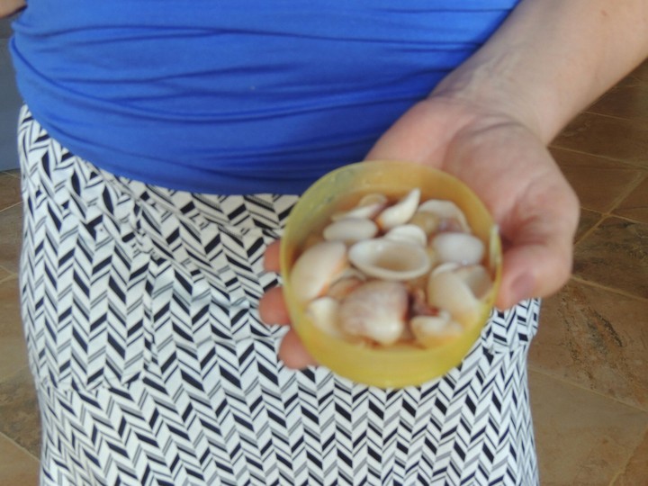 Shells