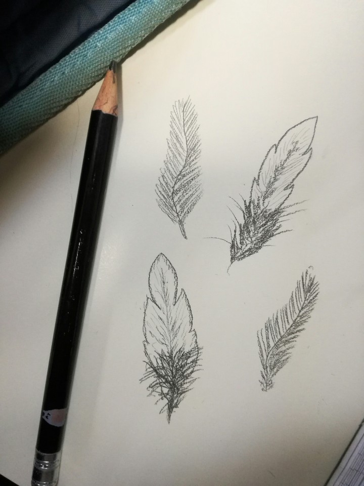 arte