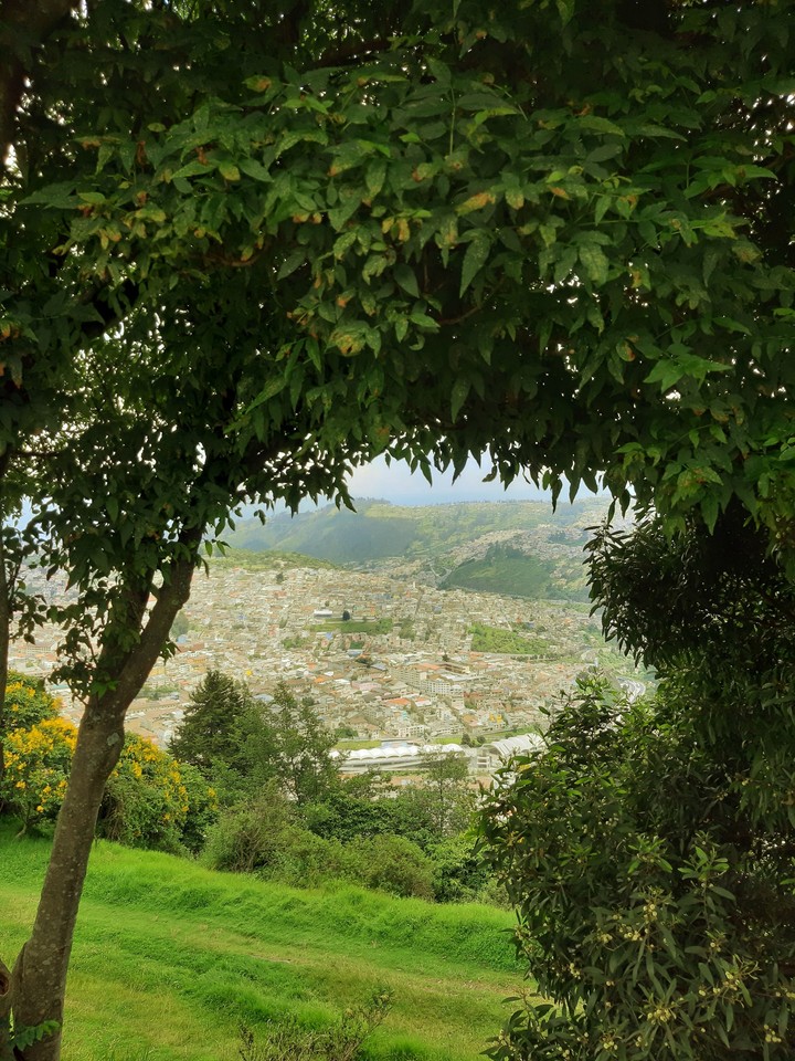 City