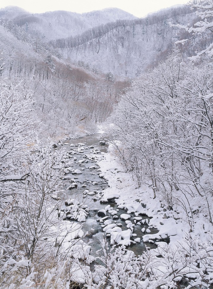 겨울의전경