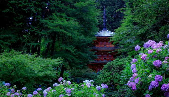 Colors of Japan.