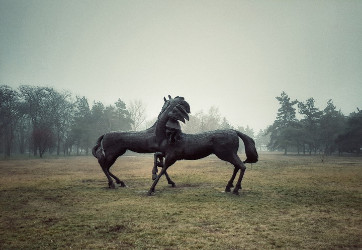Misty horses