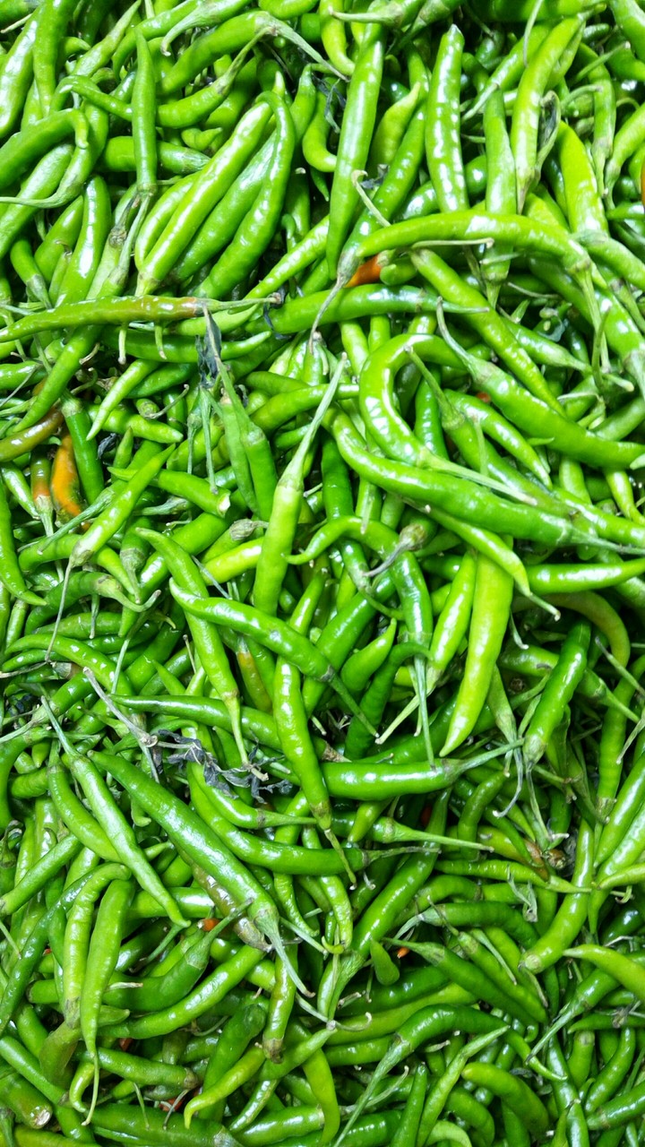 green chilli