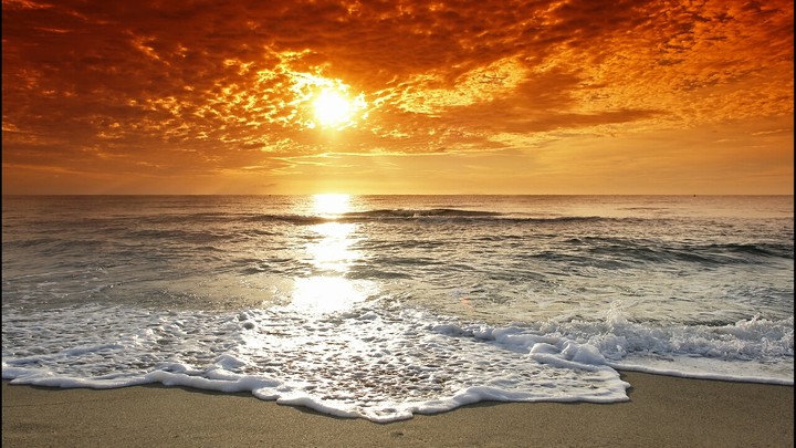 Melody of the Sea.
