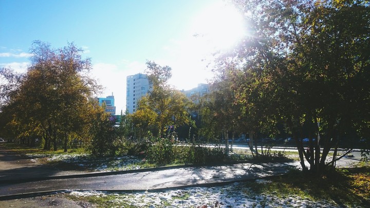 Morning City