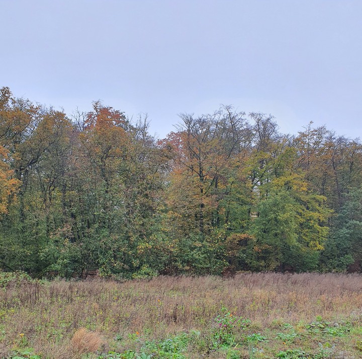 herbst