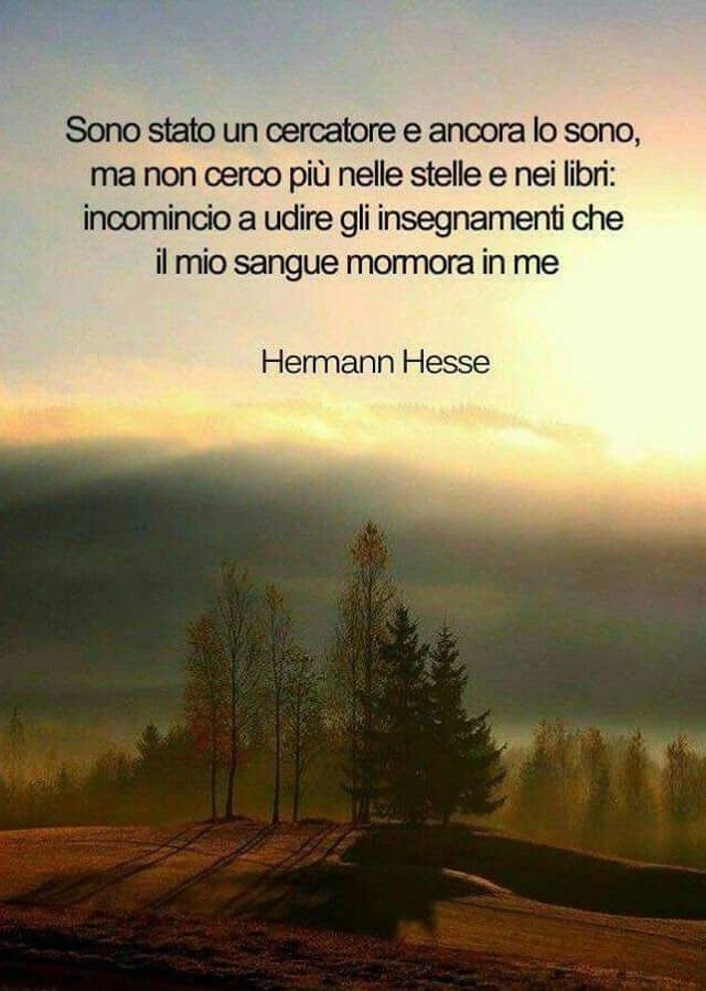 Conoscenza