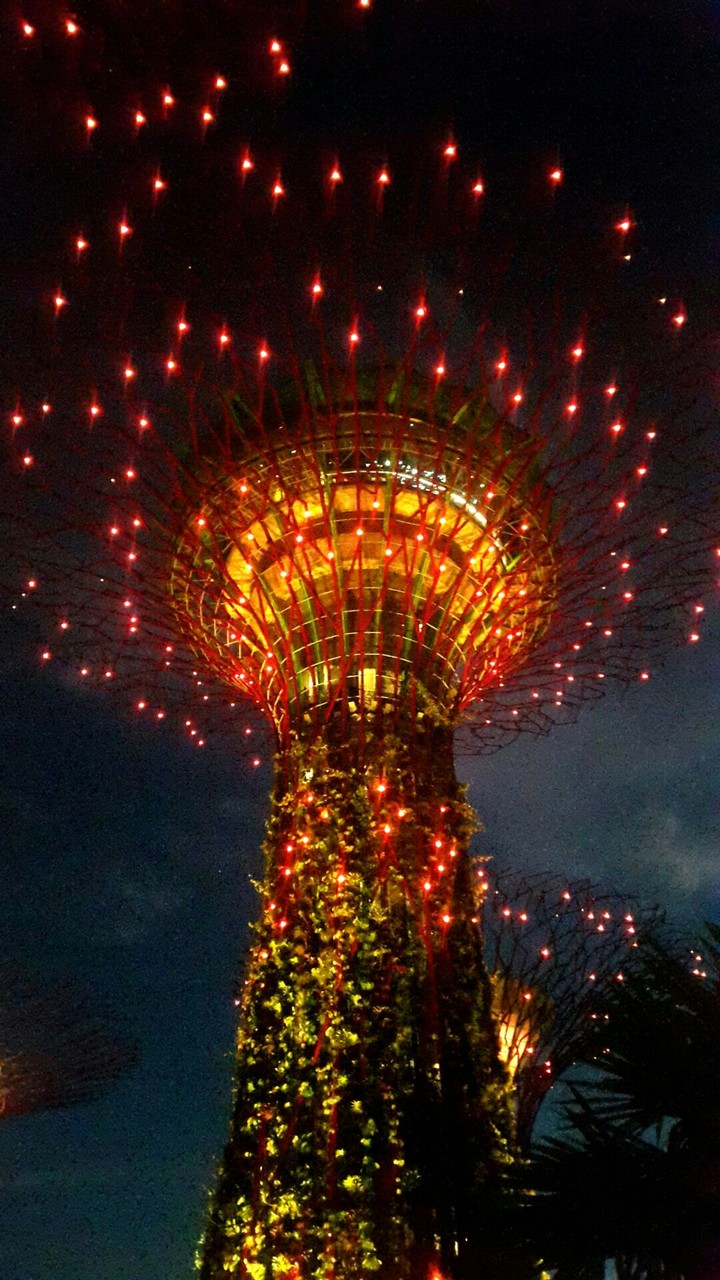 Gardens By The Bay