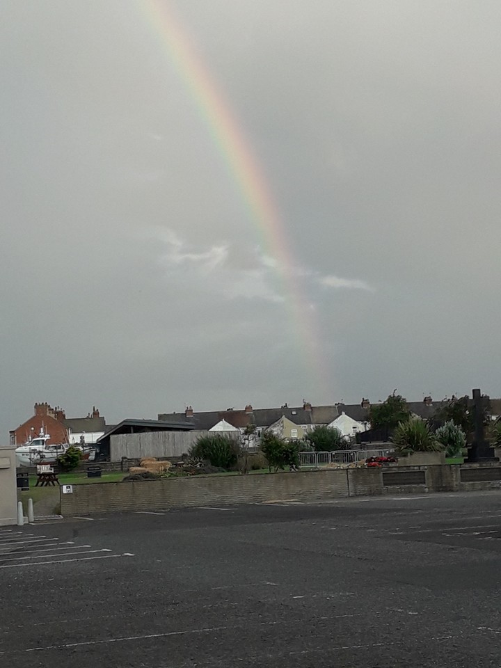 rain bow