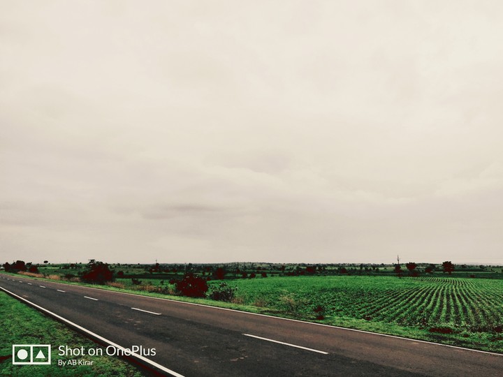 the road sided with grassland