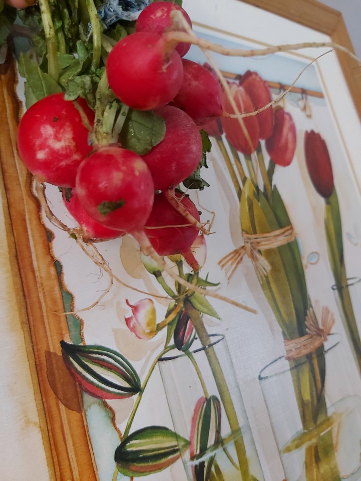 nabos y tulipanes!
