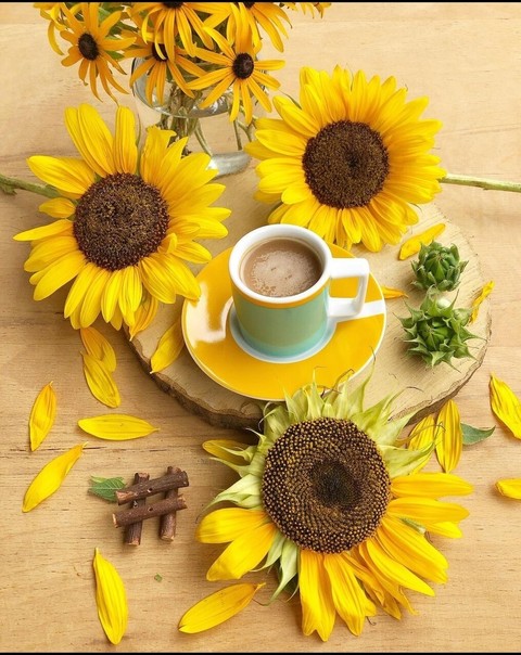רקעים sunflower, happy