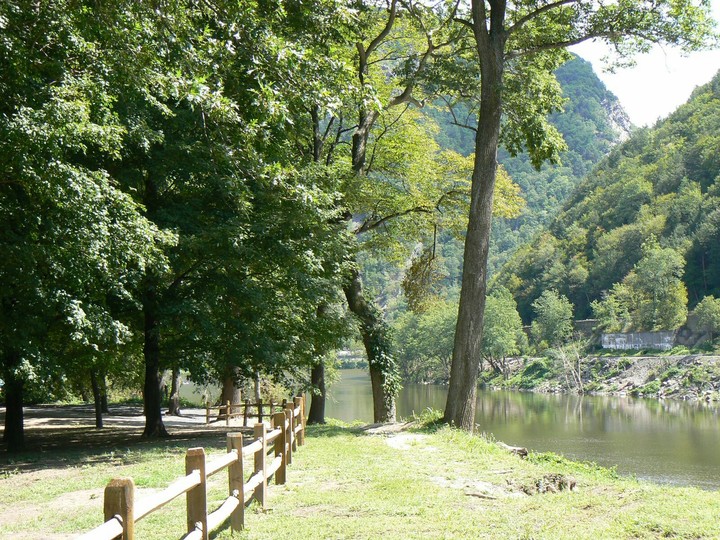 Meadow by the Creek