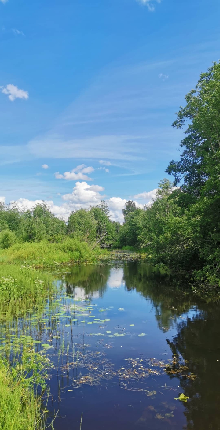 old river