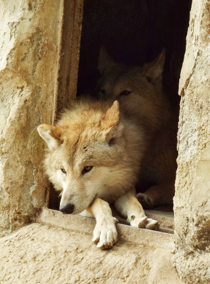We are Watching