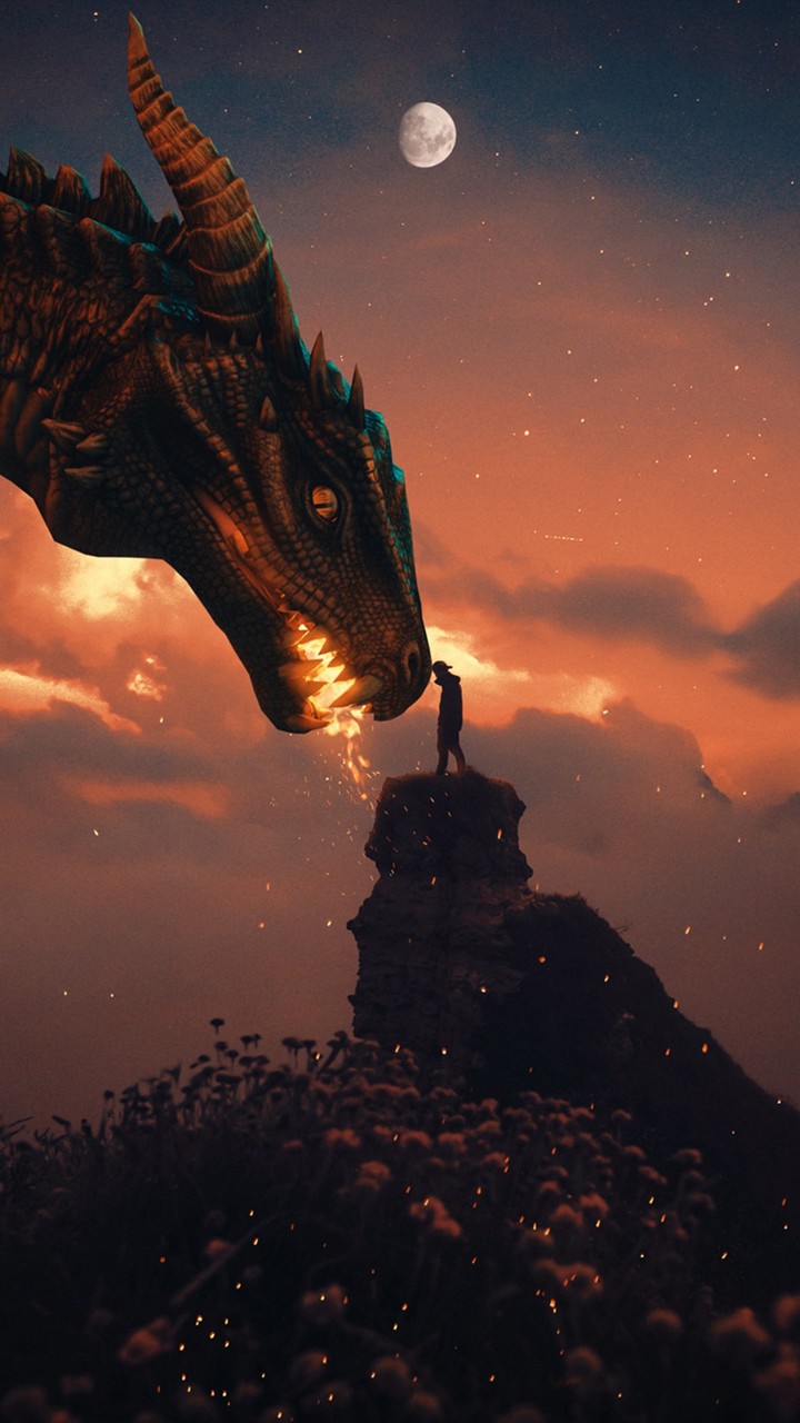 Imagine Dragon