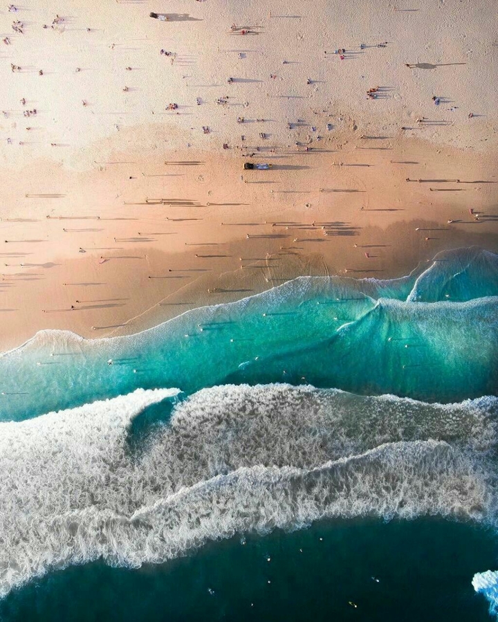 people and ocean