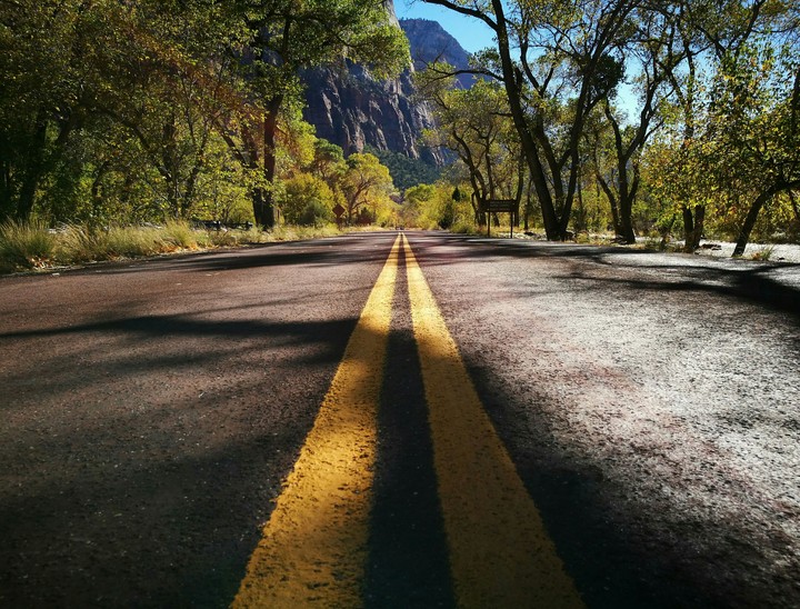Road in Zion