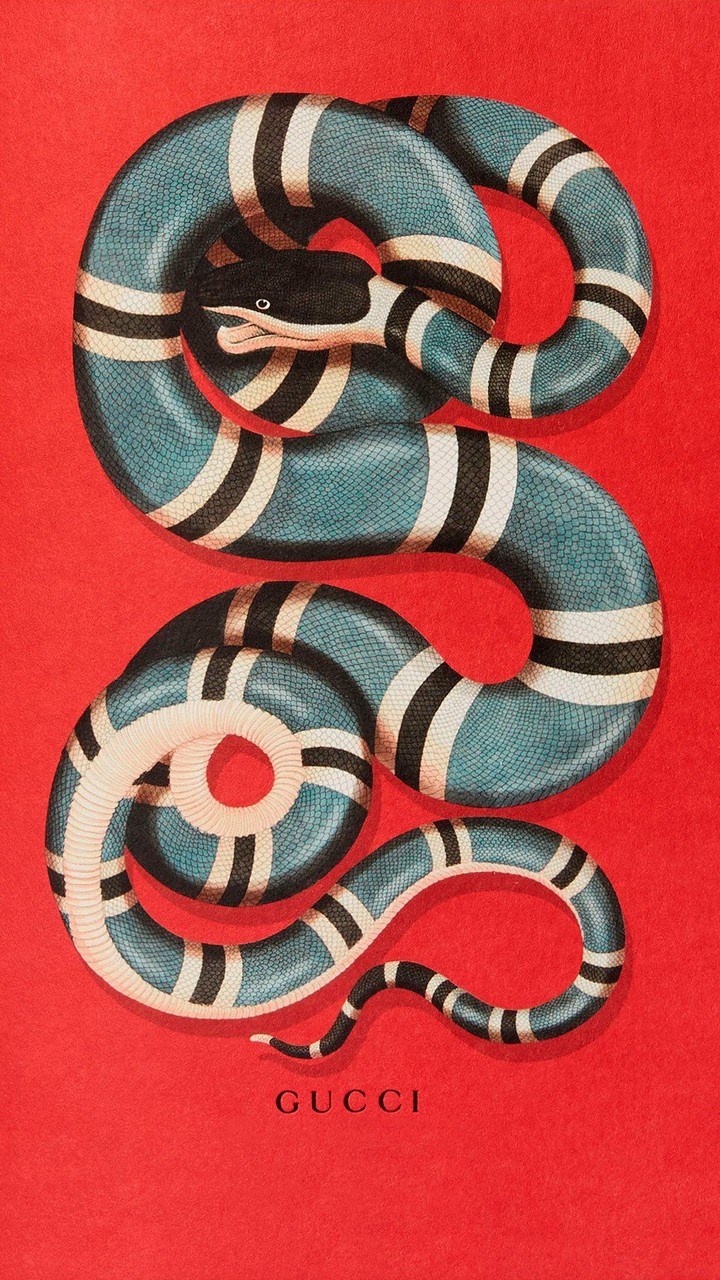 гучи gucci