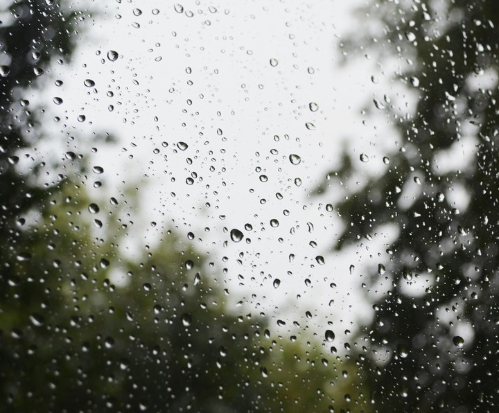 Rain