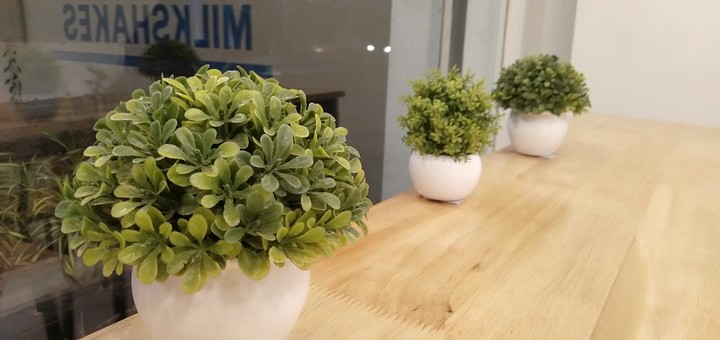 micro plants