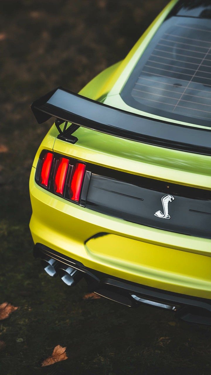 Shelby Mustang