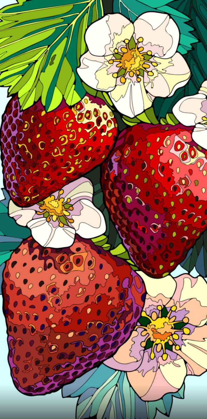 Erdbeeren