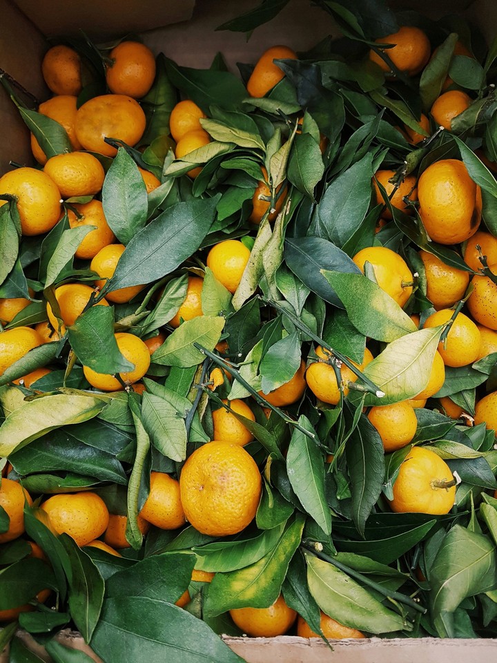 tangerines
